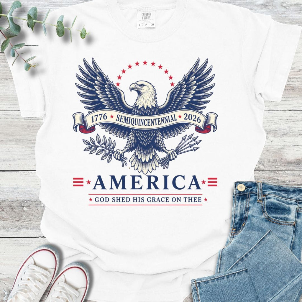 Semiquincentennial T-Shirt product image 3