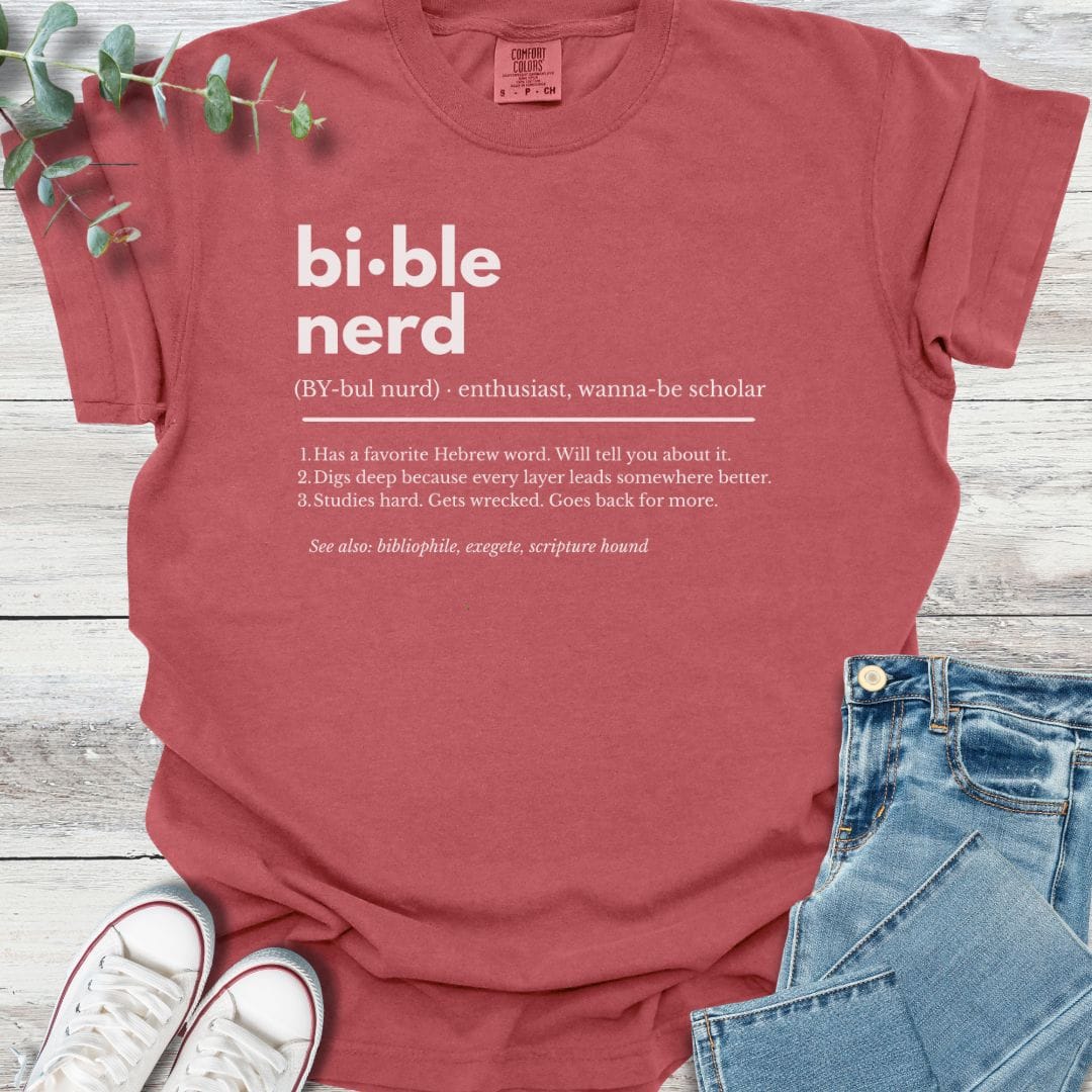 Bible Nerd Definition T-shirt product image 6