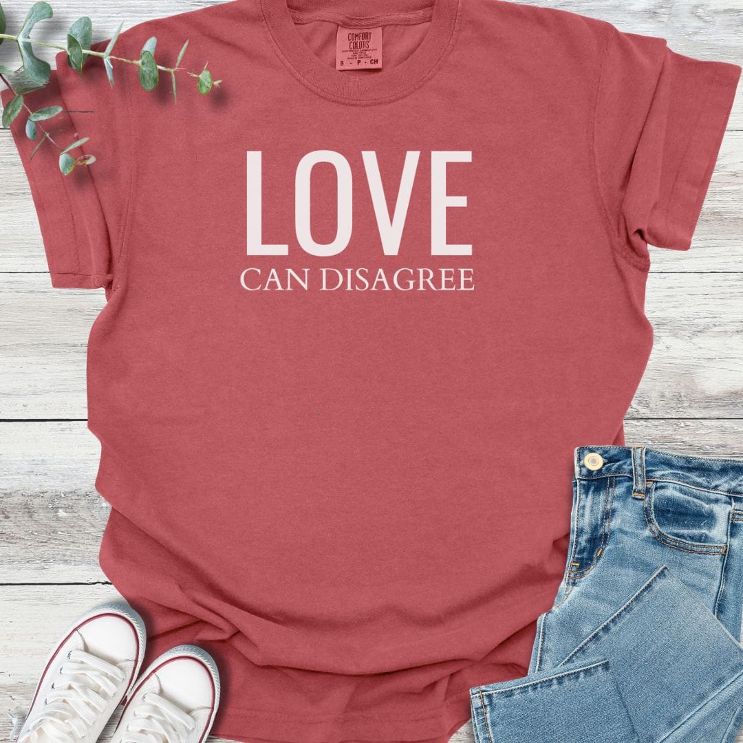 Love Can Disagree T-shirt product image 5
