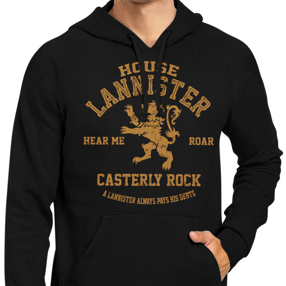 Hear Me Roar - Hoodie product image 5