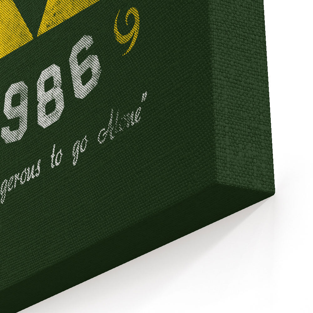 Hyrule U - Canvas Print