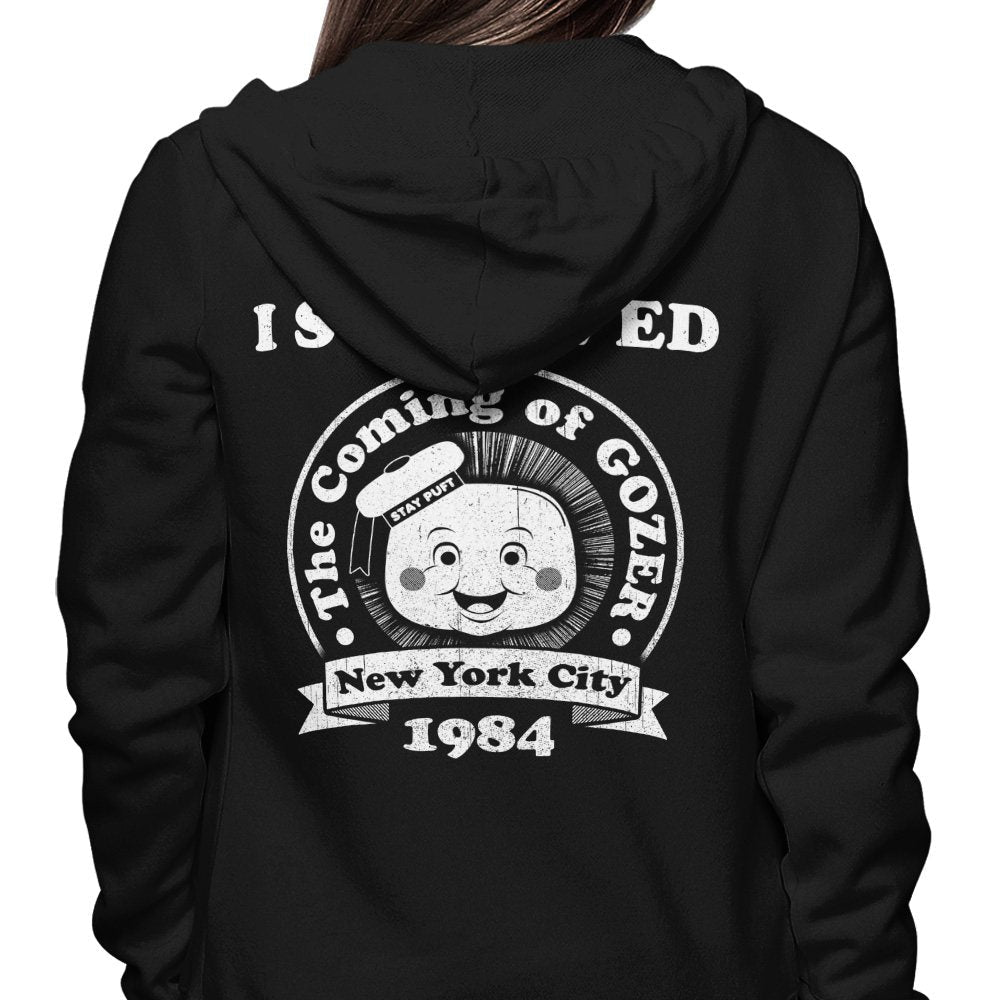 I Survived Gozer - Hoodie product image 4