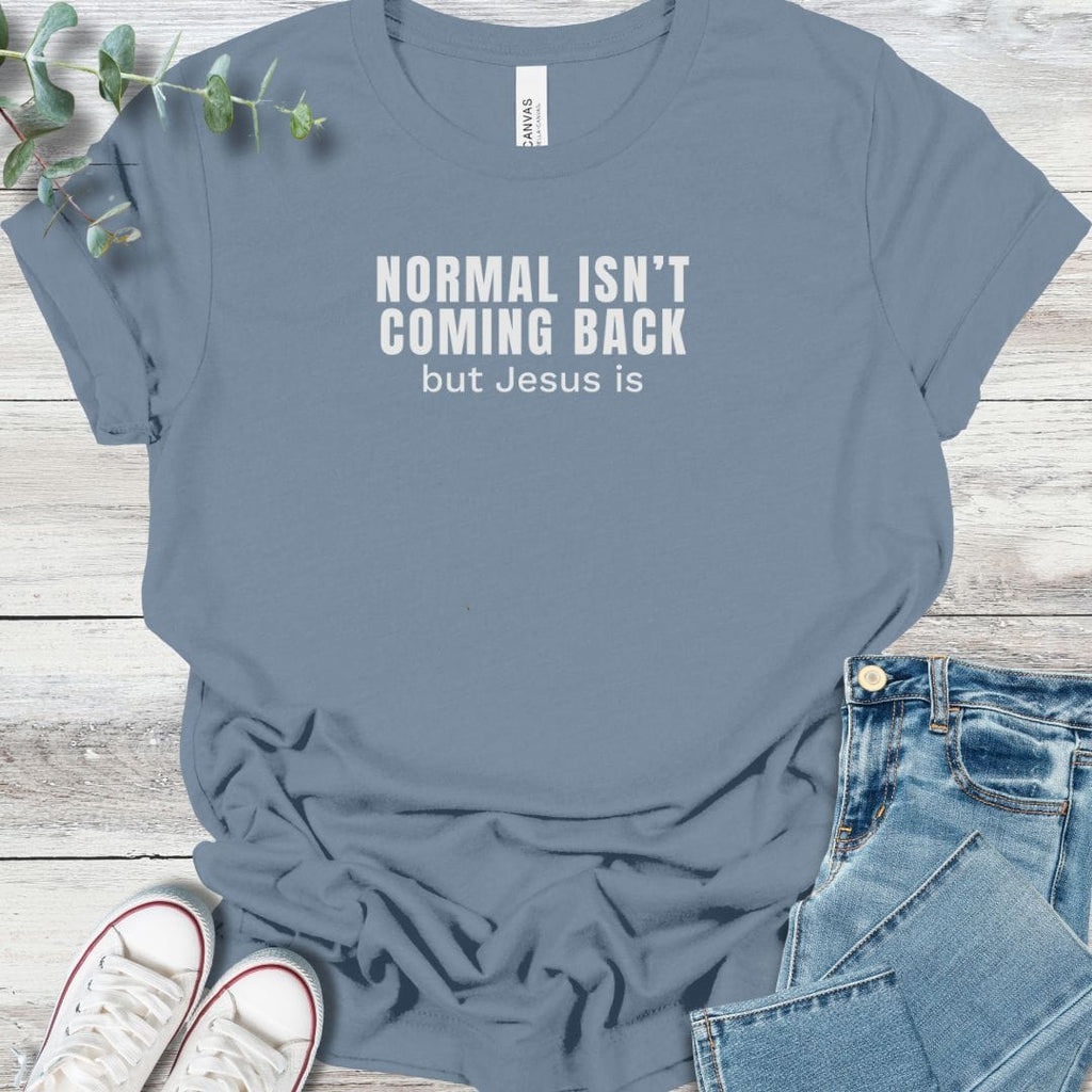 No More Normal T-Shirt product image 5