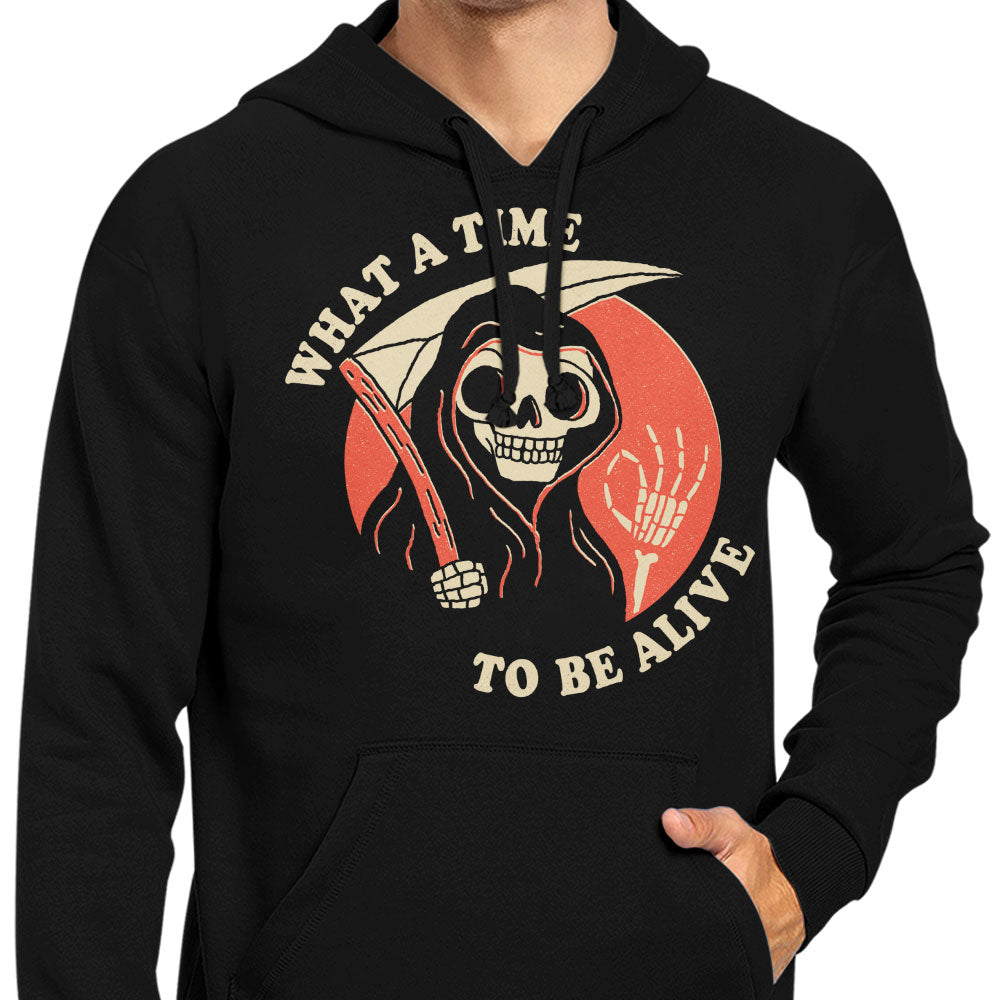 What a Time to Be Alive - Hoodie product image 4