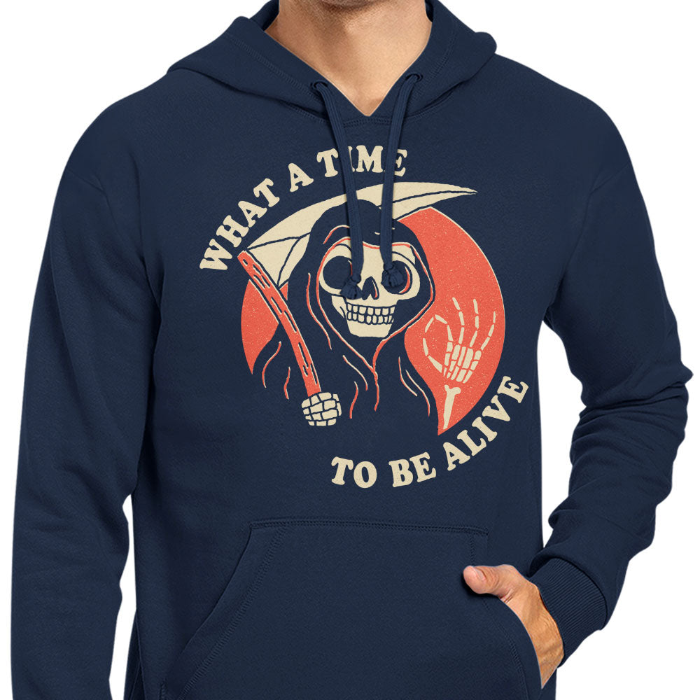 What a Time to Be Alive - Hoodie product image 5