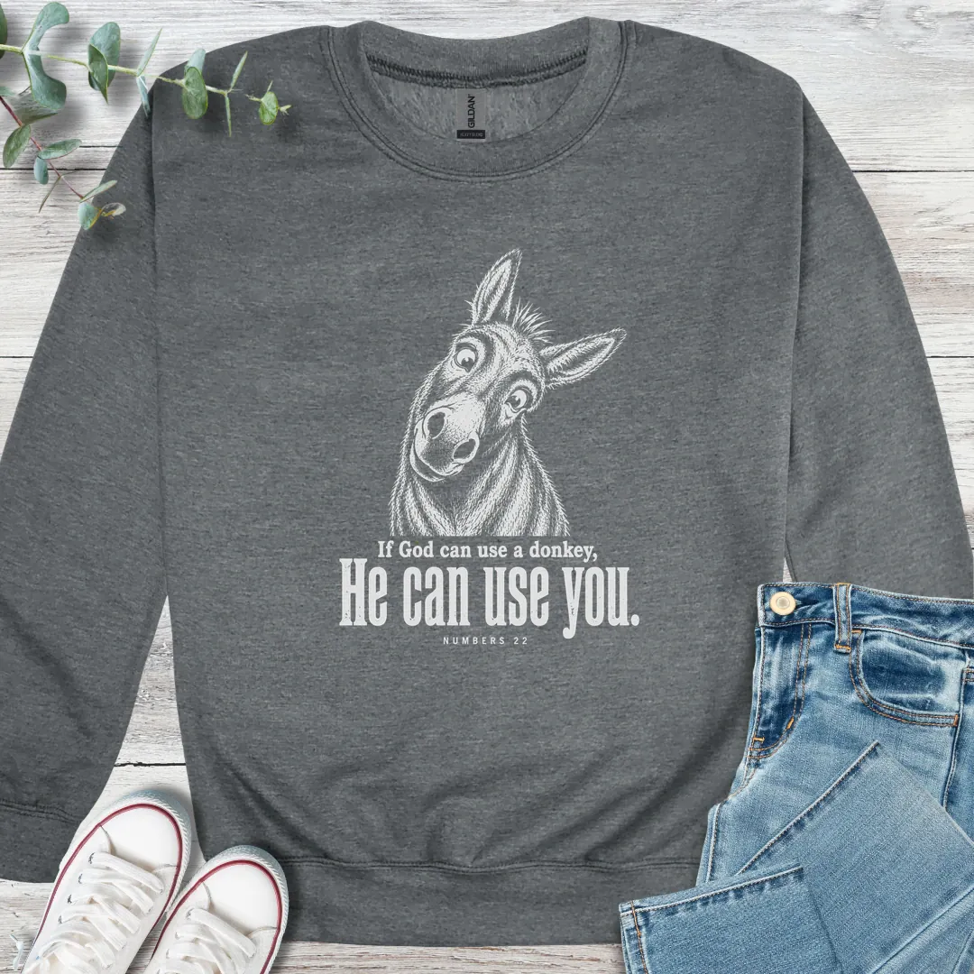 Balaam's Donkey product image 6