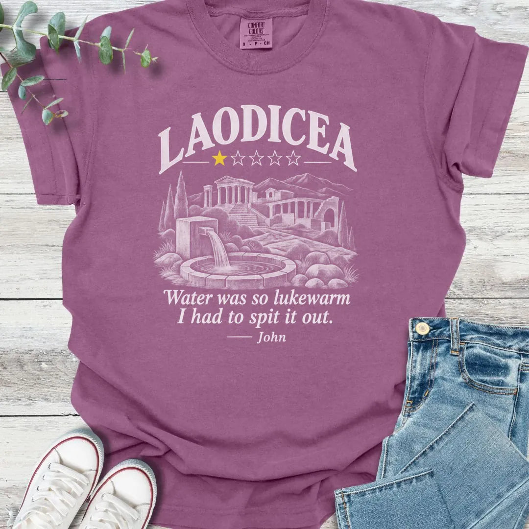 Laodicea Review T-Shirt product image 3
