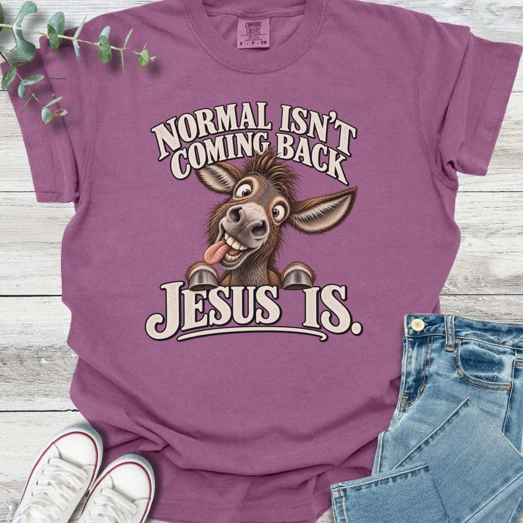 No Normal T-Shirt product image 2