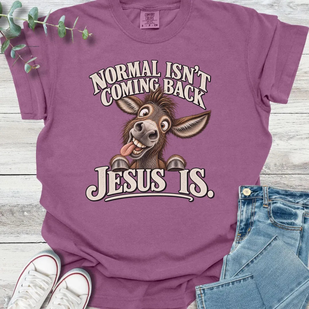 No Normal T-Shirt product image 2