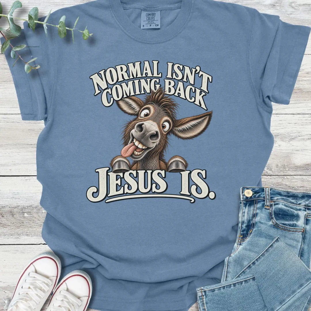 No Normal T-Shirt product image 3