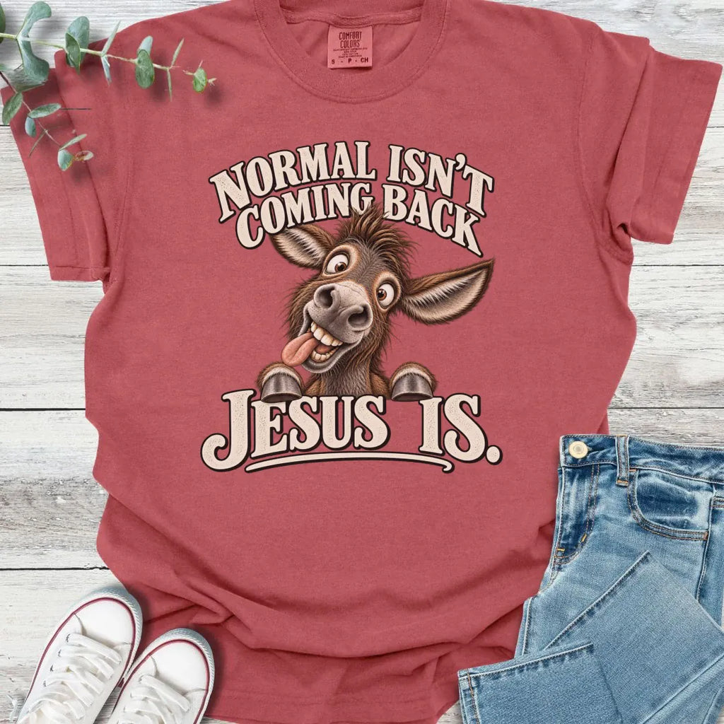 No Normal T-Shirt product image 4