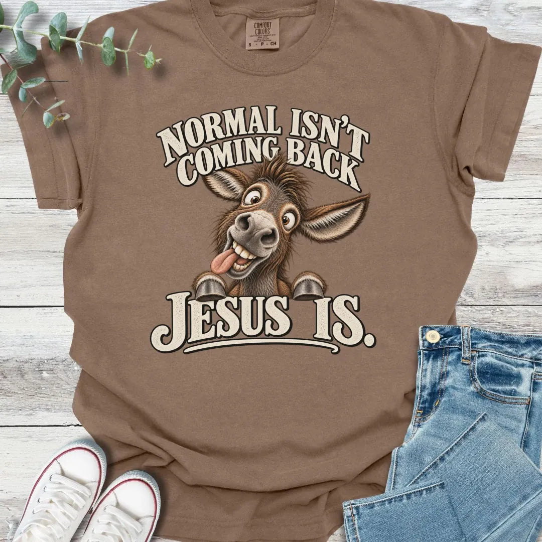 No Normal T-Shirt product image 6