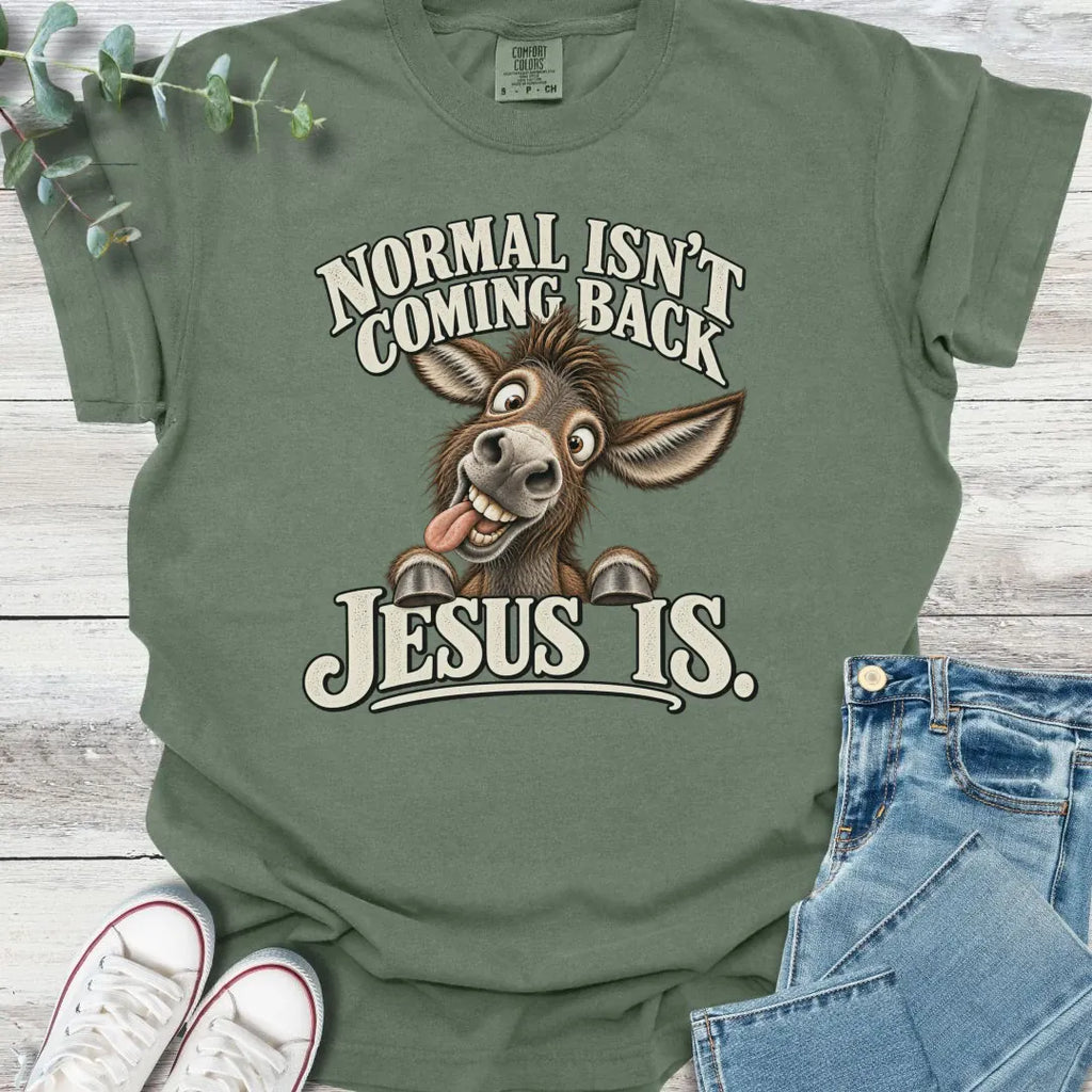 No Normal T-Shirt product image 5
