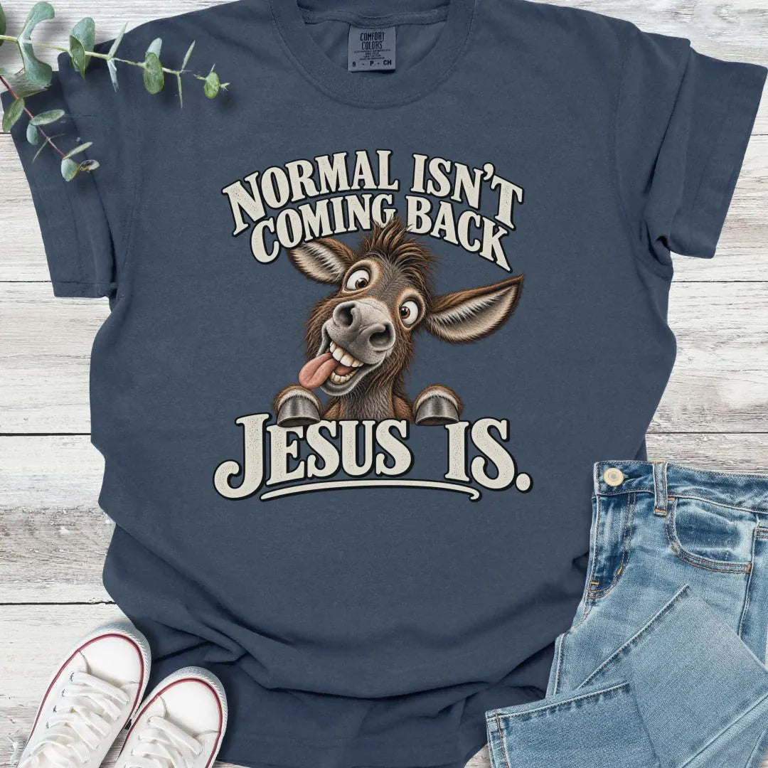 No Normal T-Shirt product image 7