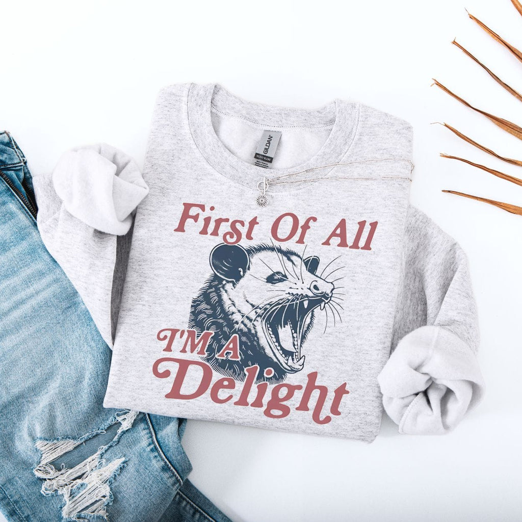First Of All I'm A Delight Possum Sweatshirt product image 2