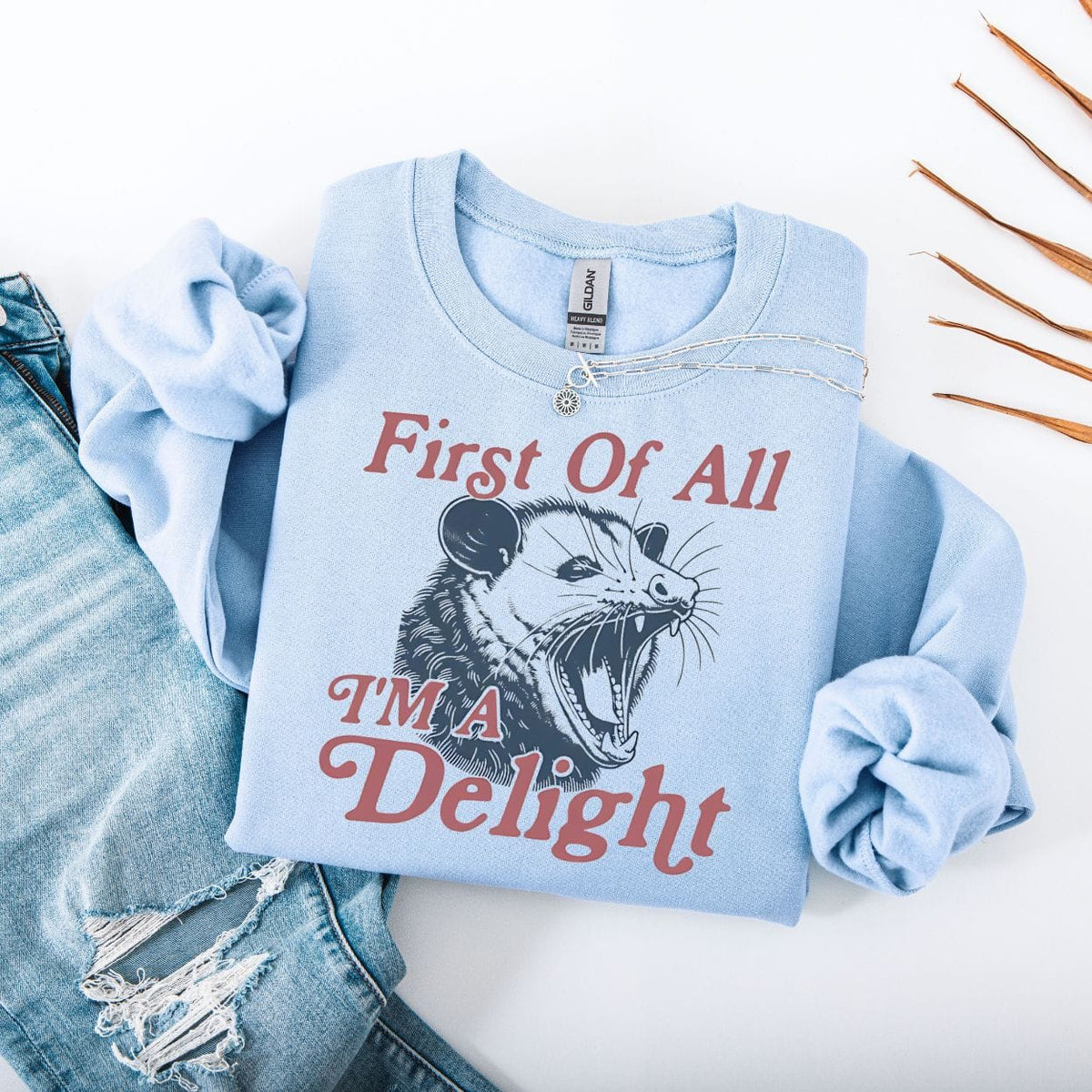 First Of All I'm A Delight Possum Sweatshirt product image 1