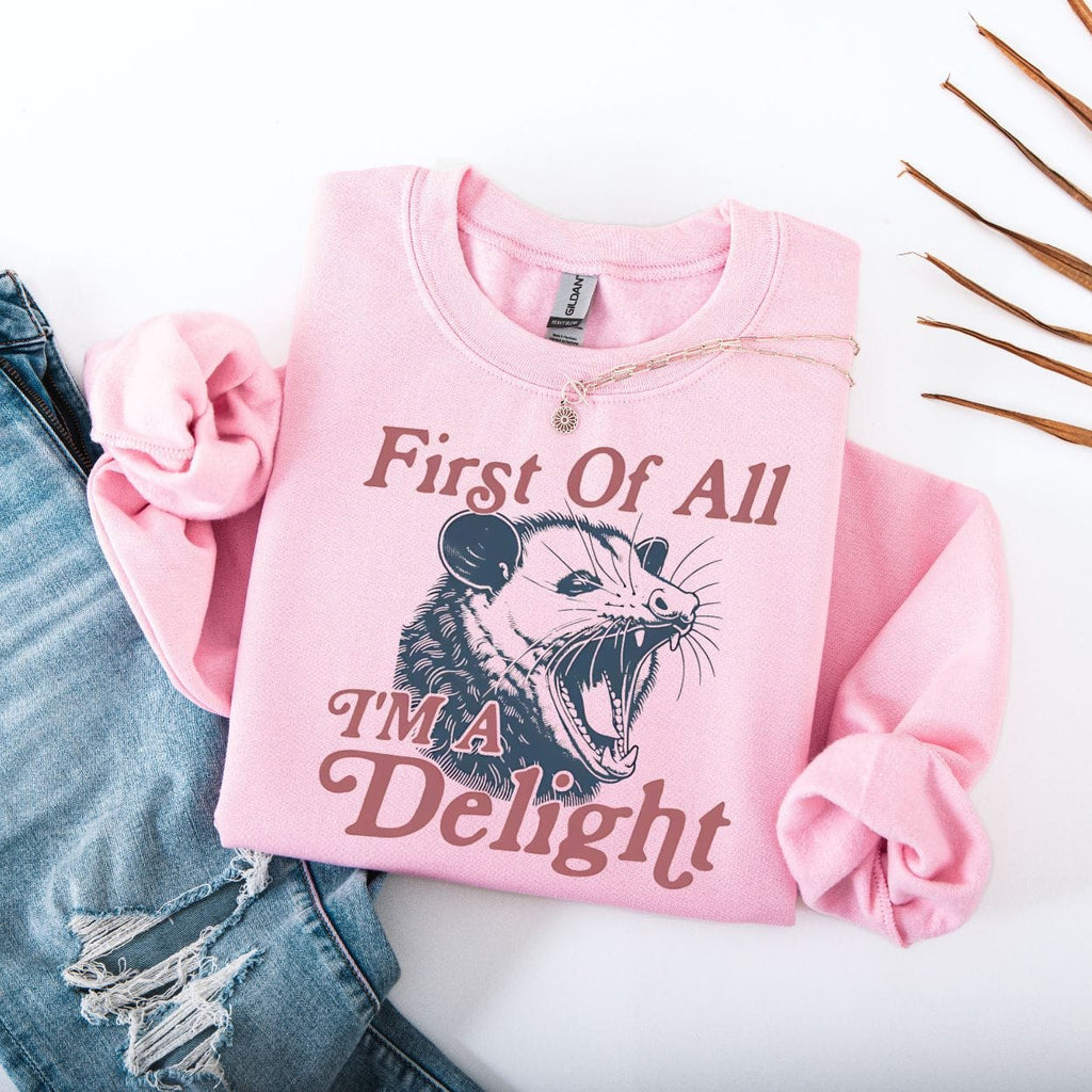 First Of All I'm A Delight Possum Sweatshirt product image 3