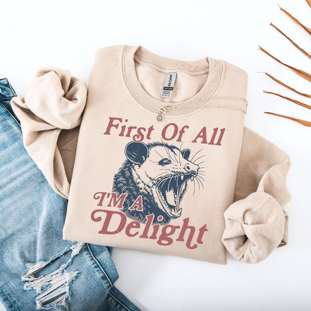 First Of All I'm A Delight Possum Sweatshirt product image 4