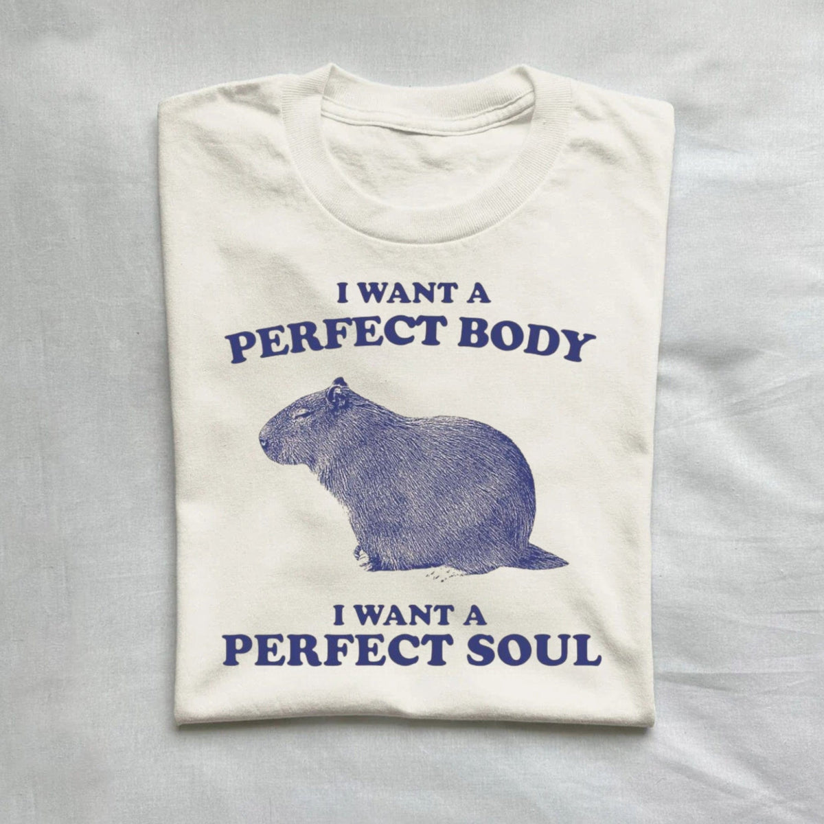 I Want A Perfect Body I A Soul Capybara Shirt product image 1